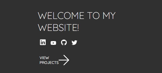Website project screenshot
